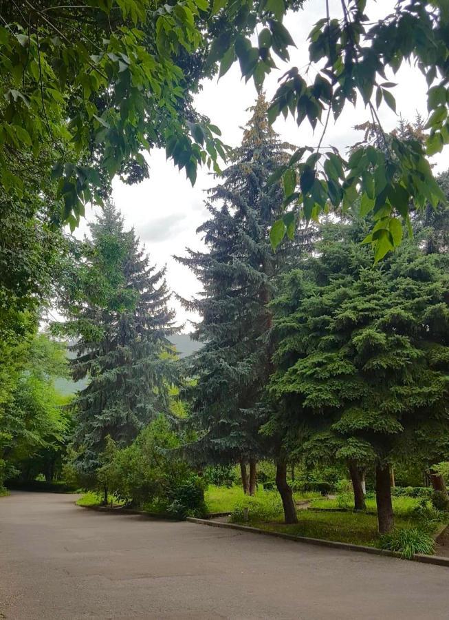 Vanadzor Armenia Health Resort & Hotel Kültér fotó